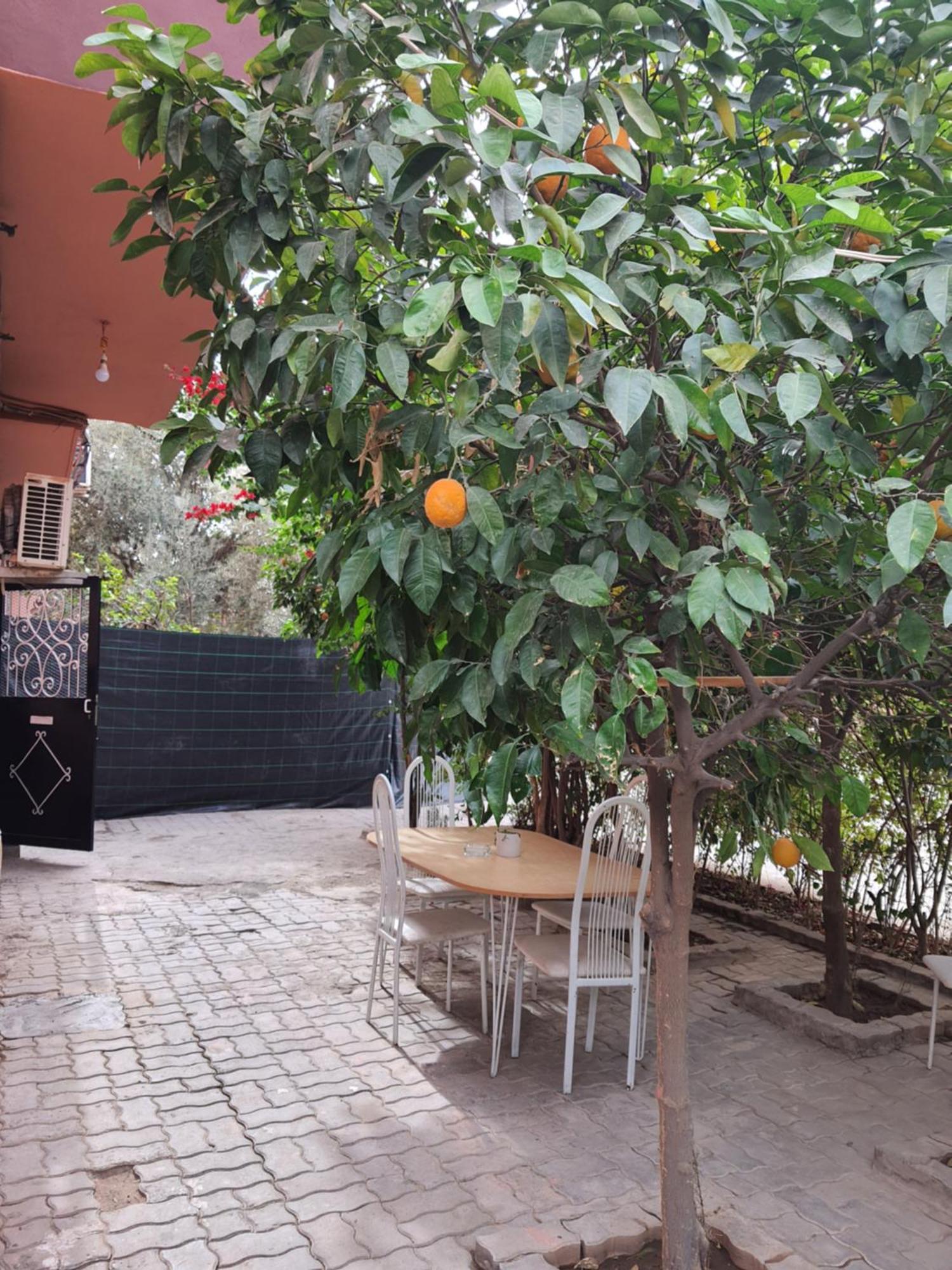 Marrakech Apartamento Marraquexe Exterior foto